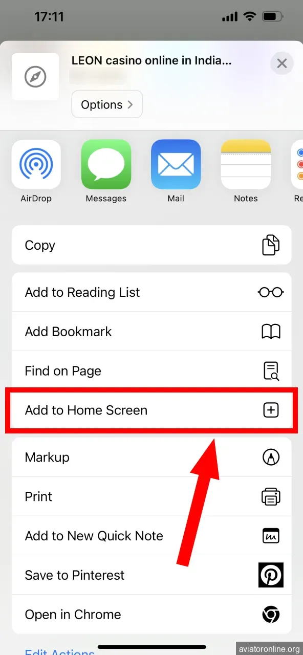 Choose Add to Home Screen from Leon options list.